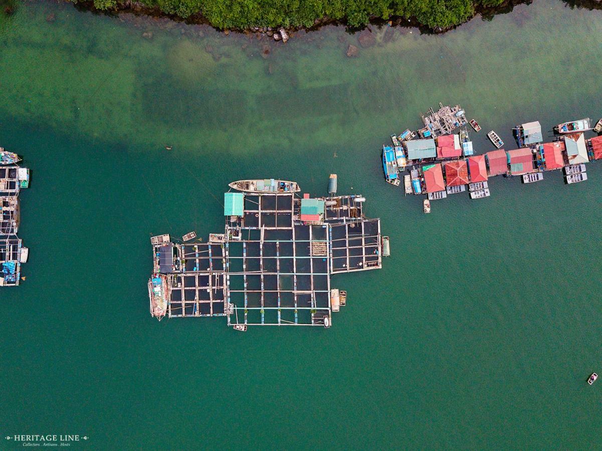 Heritage Line Violet Cruise - Halong Bay & Lan Ha Bay Ha Long Zewnętrze zdjęcie