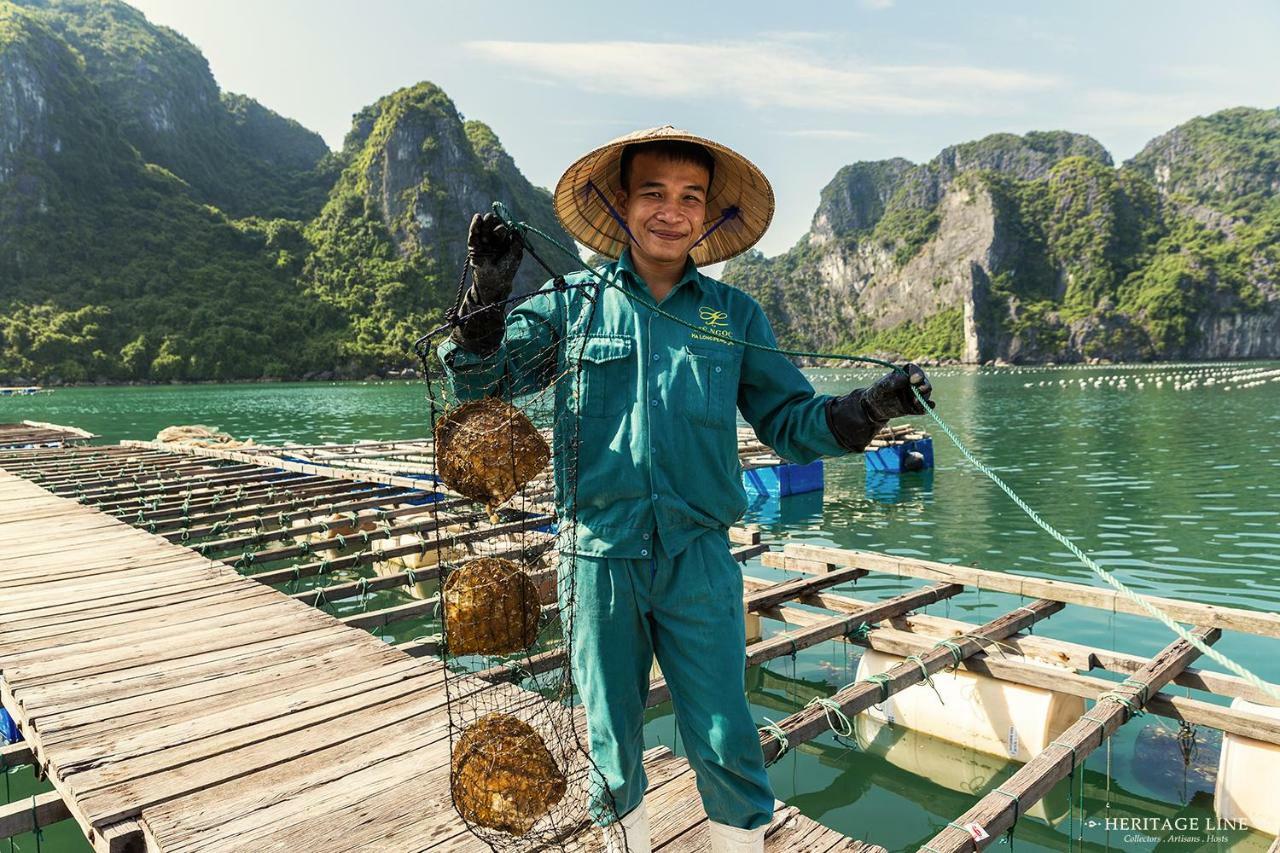 Heritage Line Violet Cruise - Halong Bay & Lan Ha Bay Ha Long Zewnętrze zdjęcie